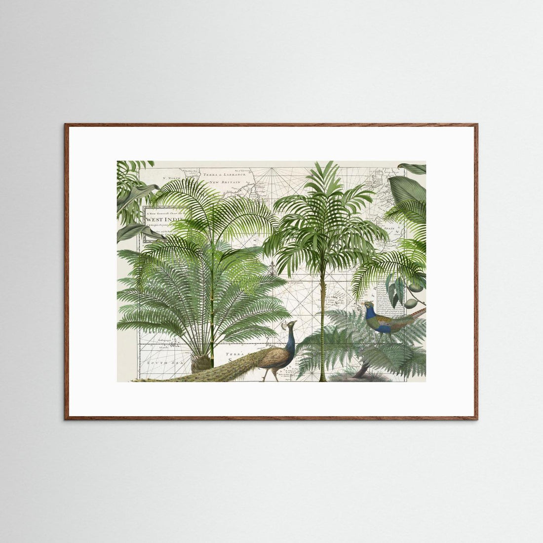 Tropical Empire No6 by Andrea Haase
