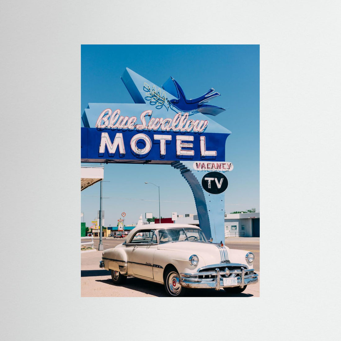 Blue Swallow Motel by Bethany Young