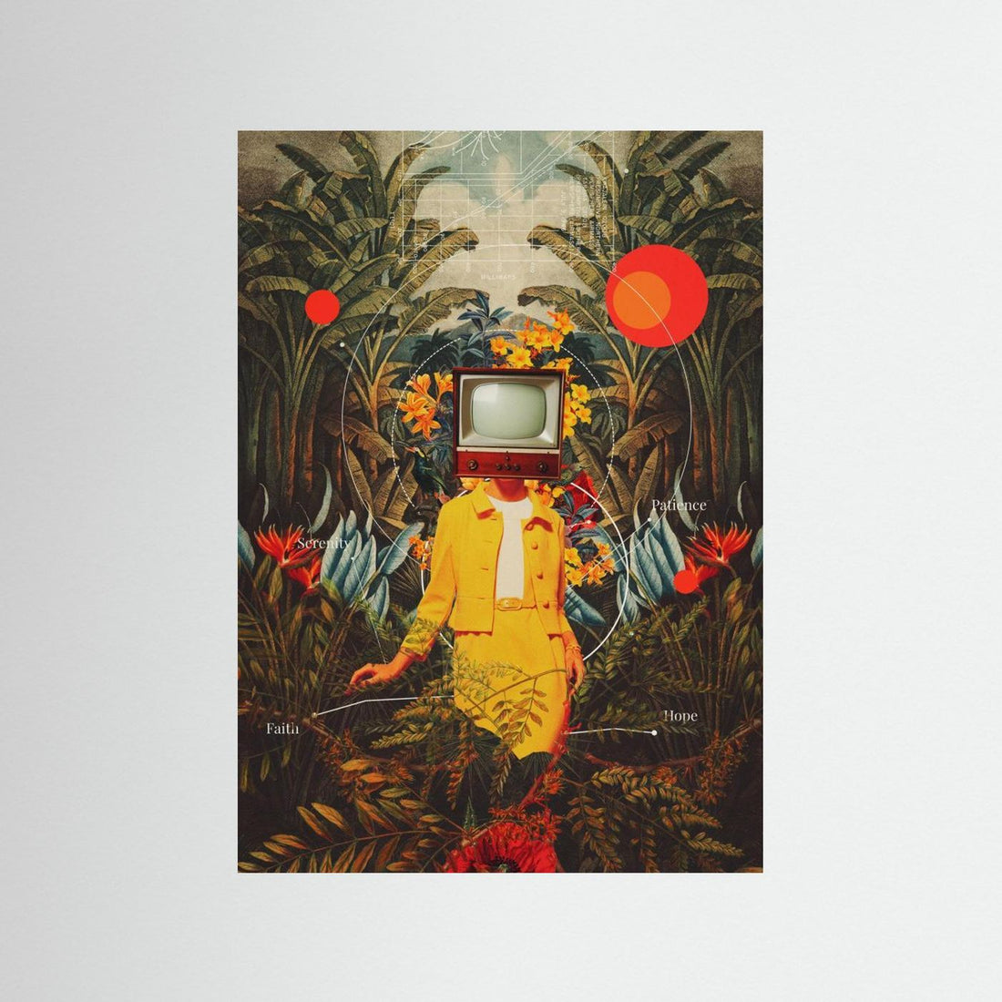 She Came From the Wilderness by Frank Moth