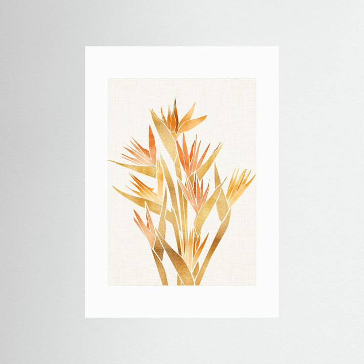 Bird of Paradise by Kristian Gallagher