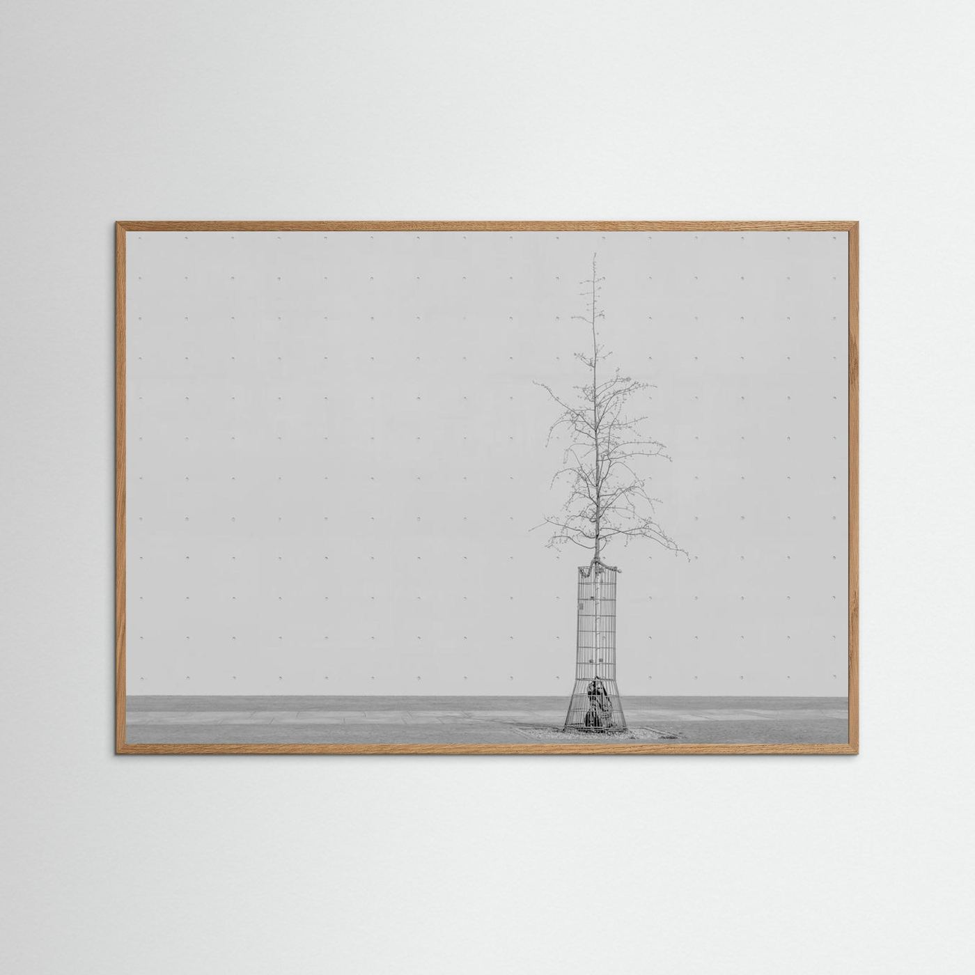 the tree by Klaus Lenzen