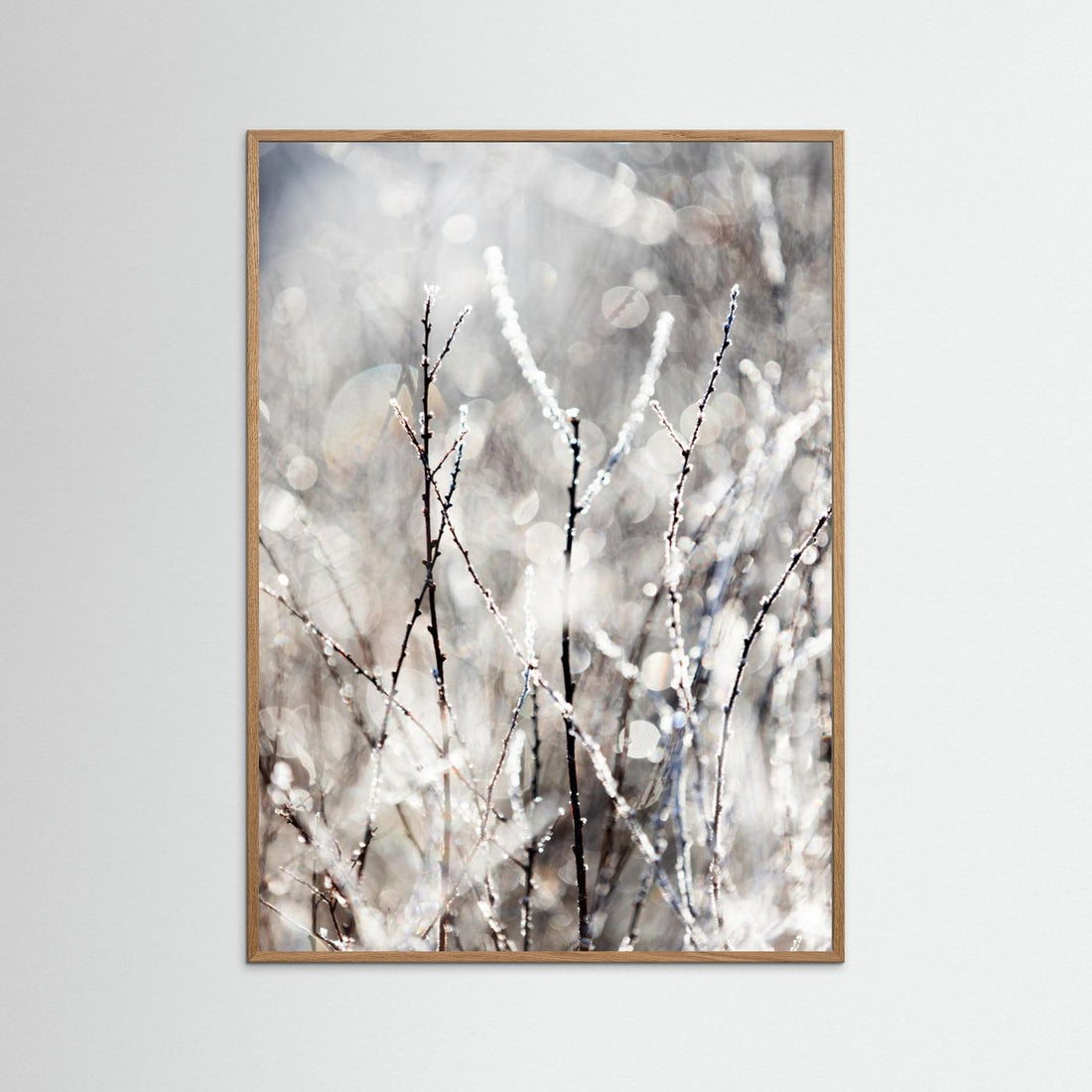 A Winter Morning 4 by Mareike Böhmer