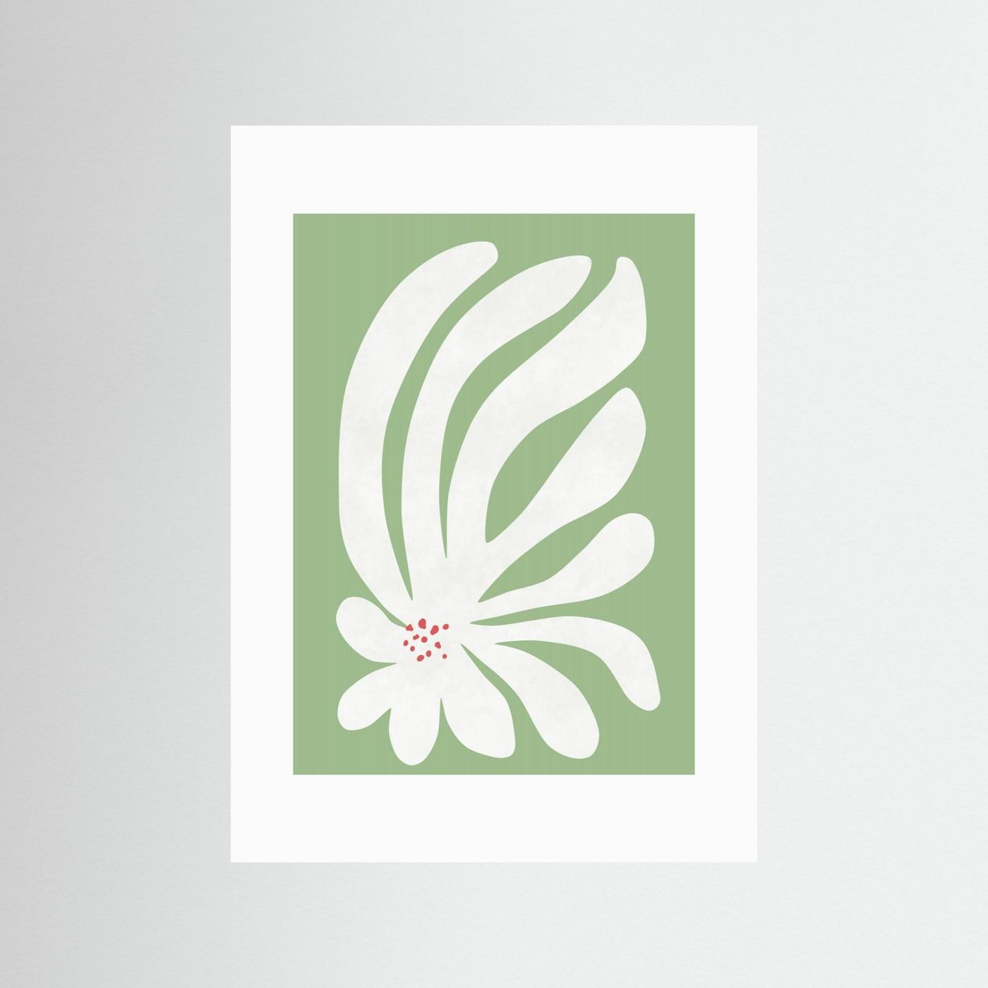 White Chrysanthemum Flower by Amini54