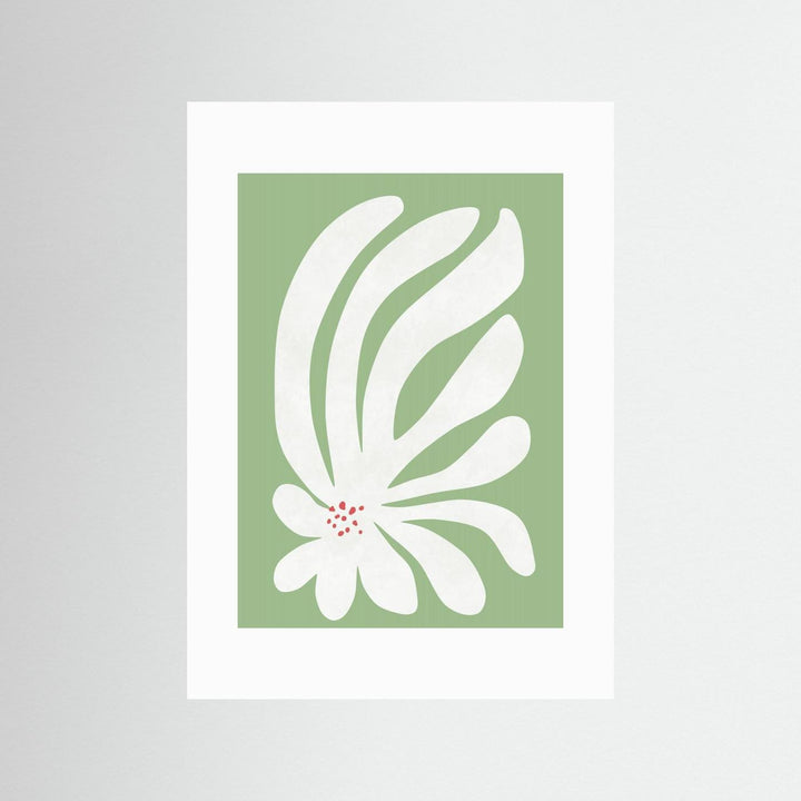 White Chrysanthemum Flower by Amini54