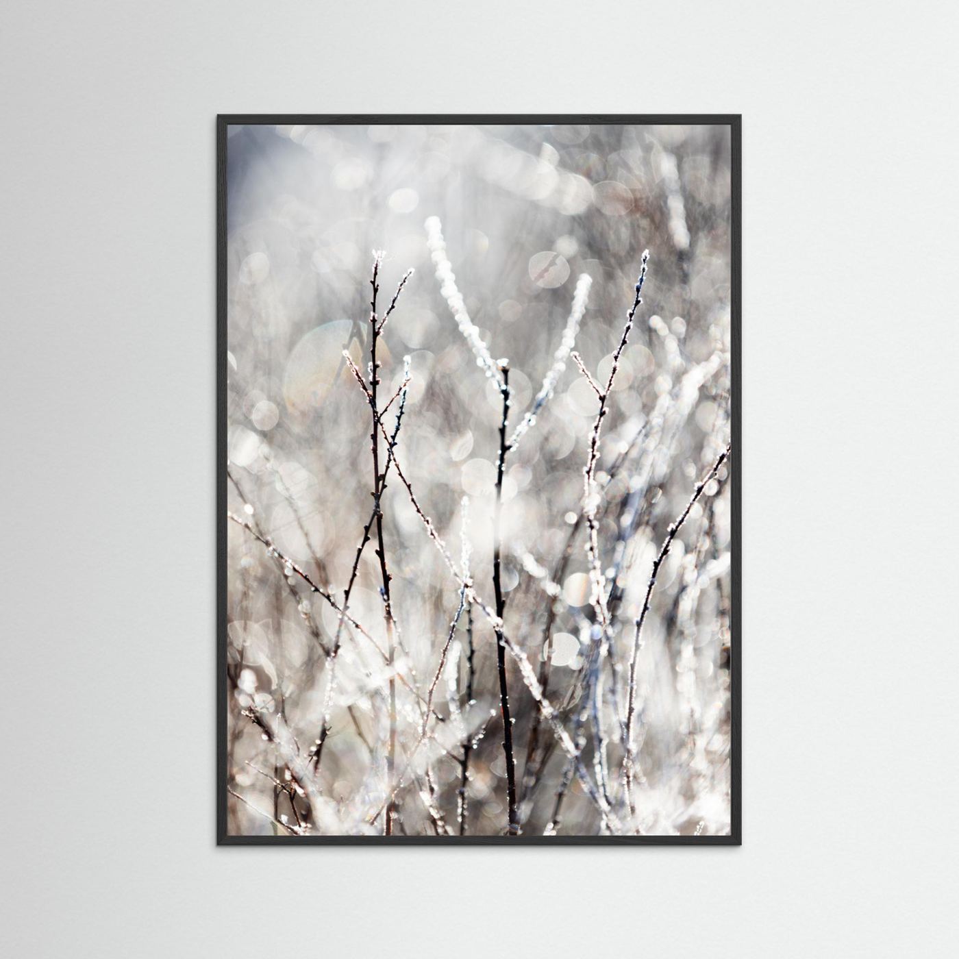 A Winter Morning 4 by Mareike Böhmer