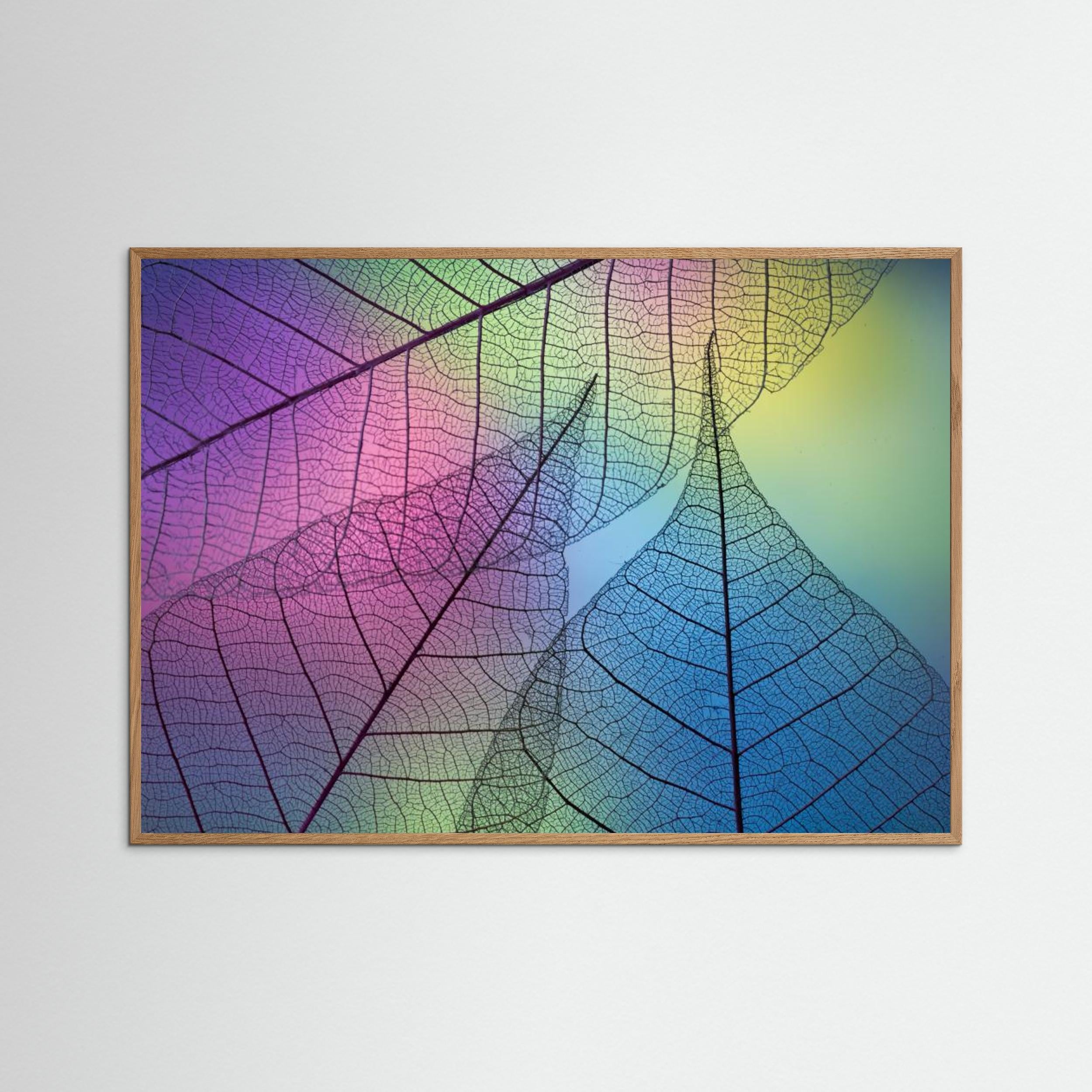 Colors Leafs by Shihya Kowatari