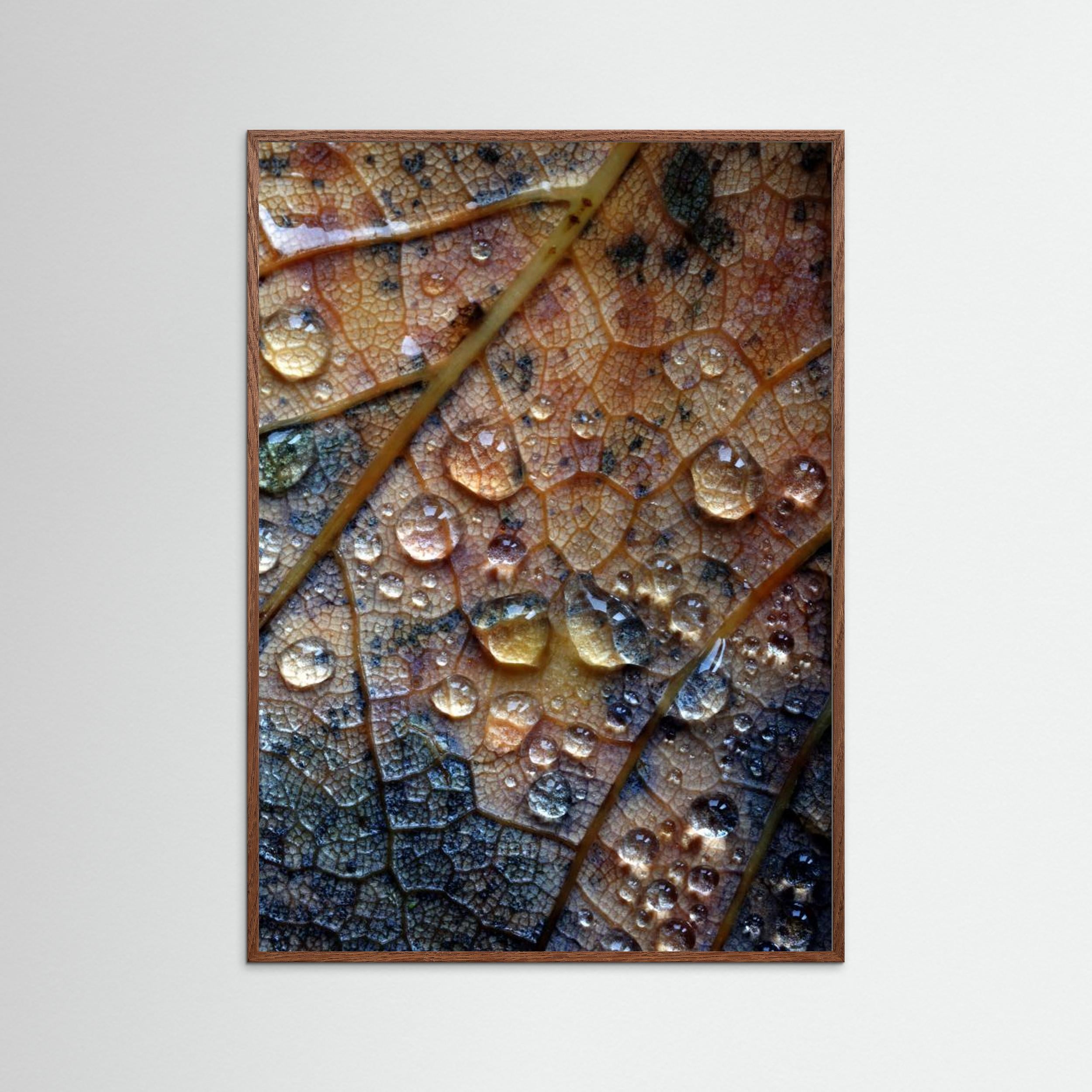 Nature's Tears by David Mc Cracken