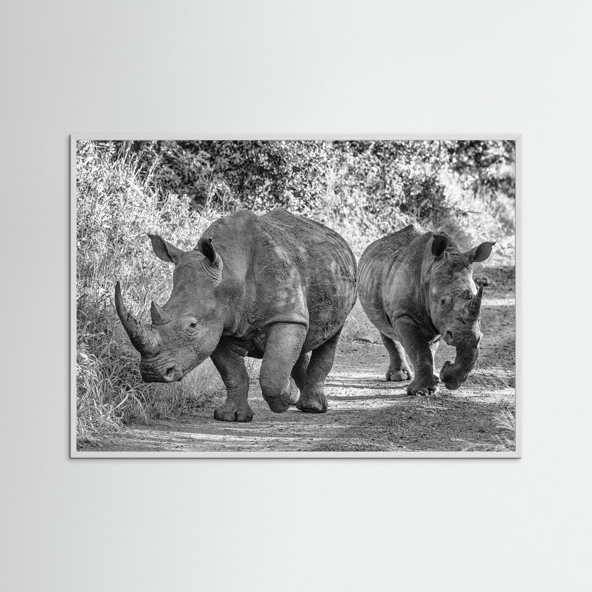 The two rhinos - Wildlife III by Regine Richter