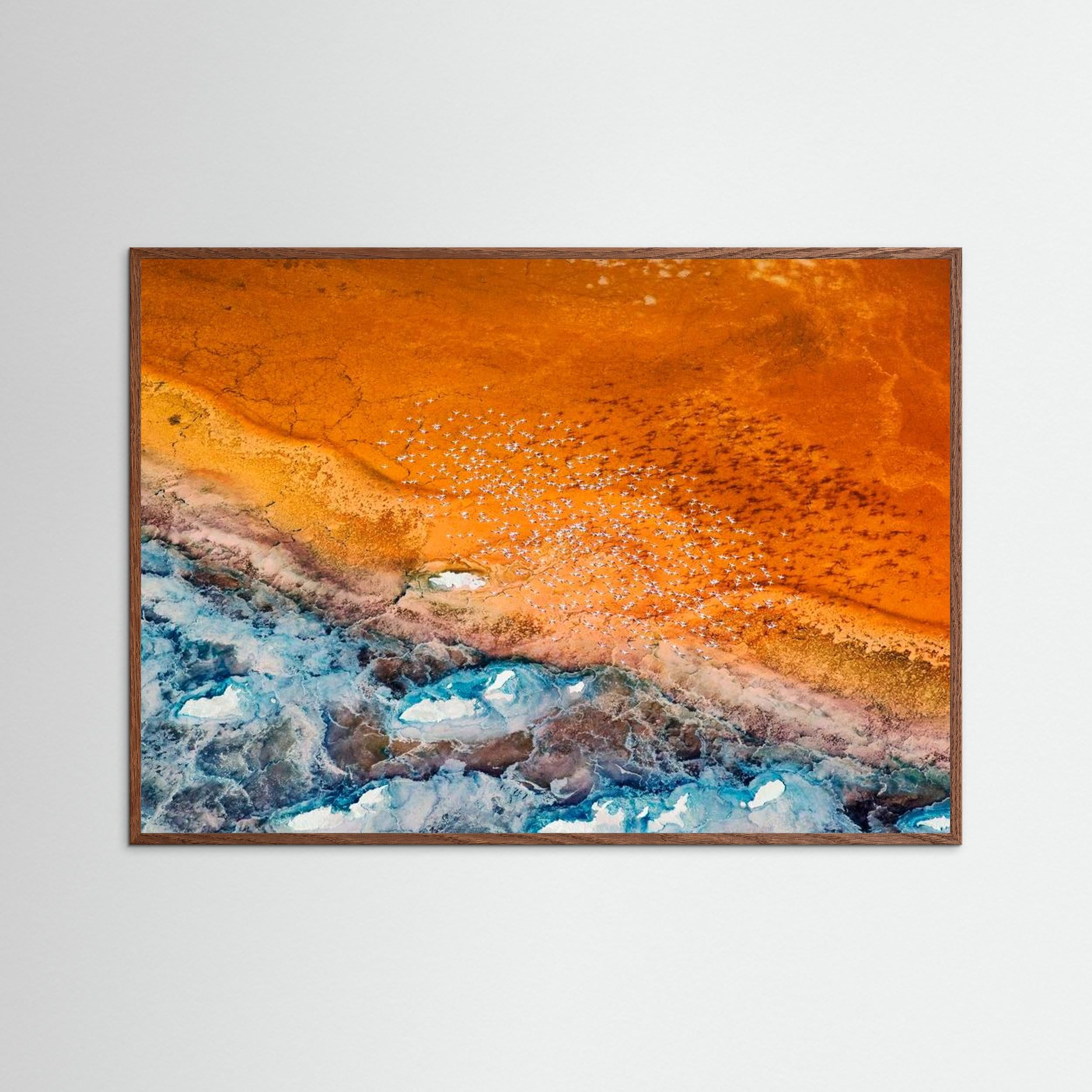 Colorful by Phillip Chang