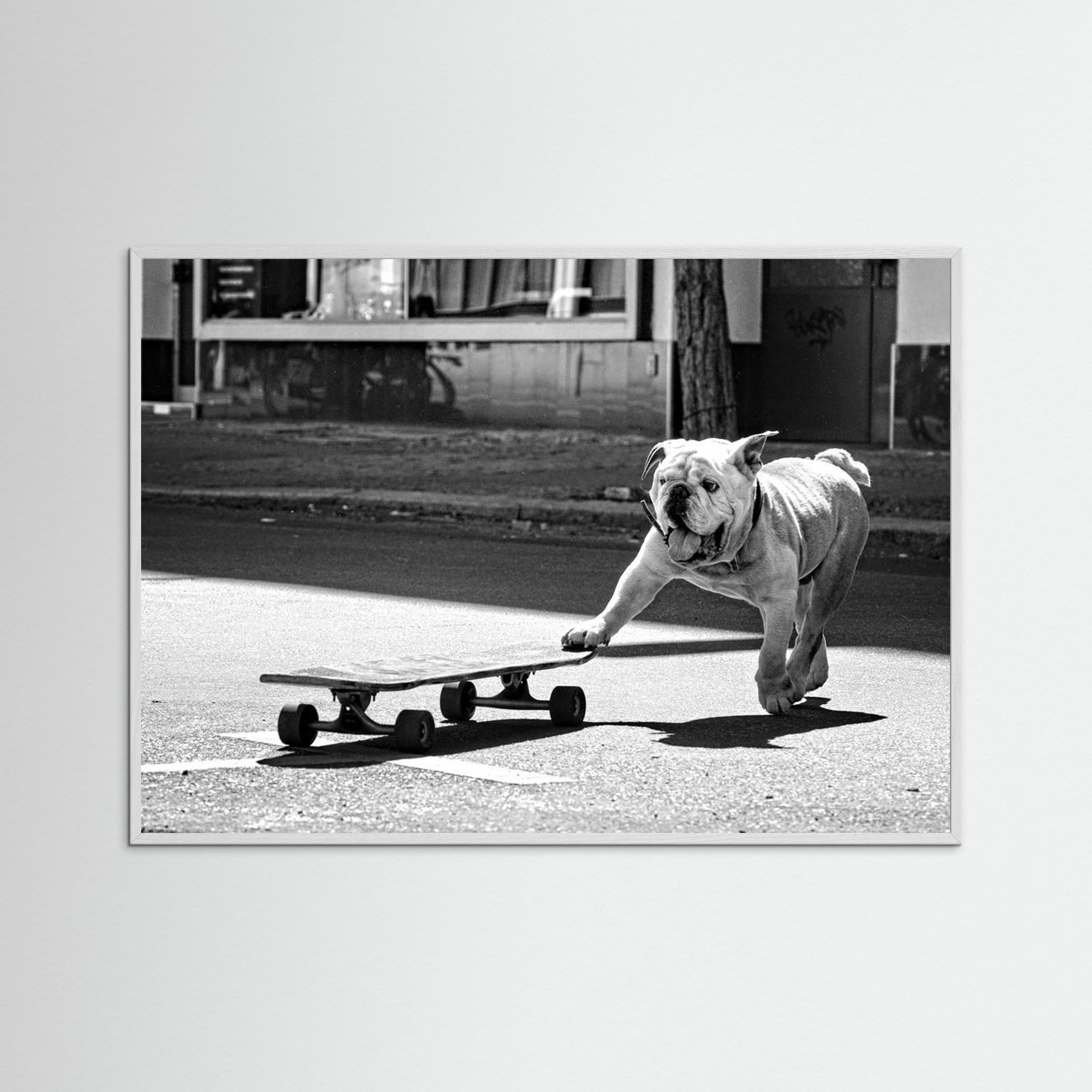 ... dogs just want to have fun ... by Claudia Leverentz