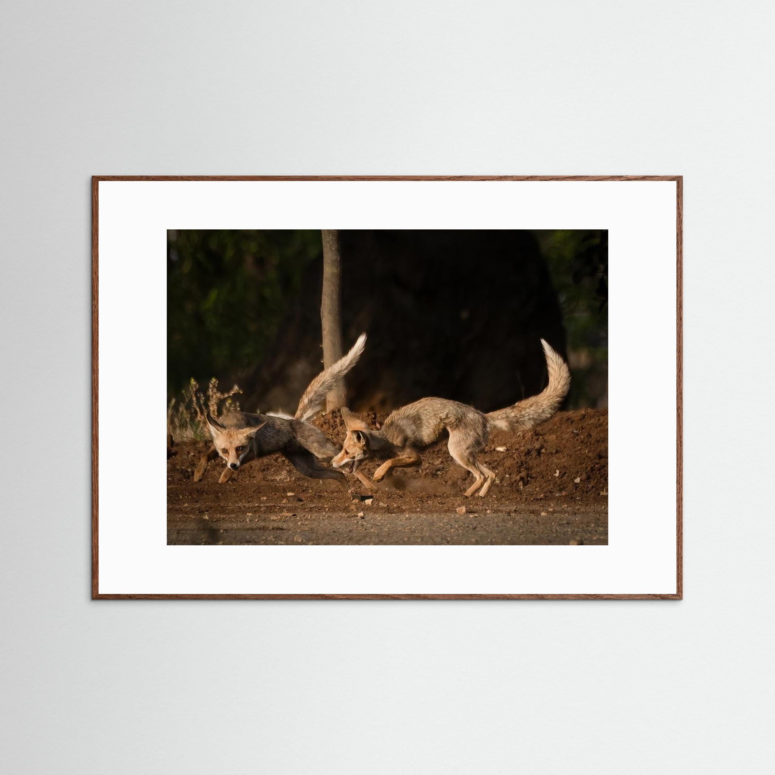 Morning games by Doron Margulies