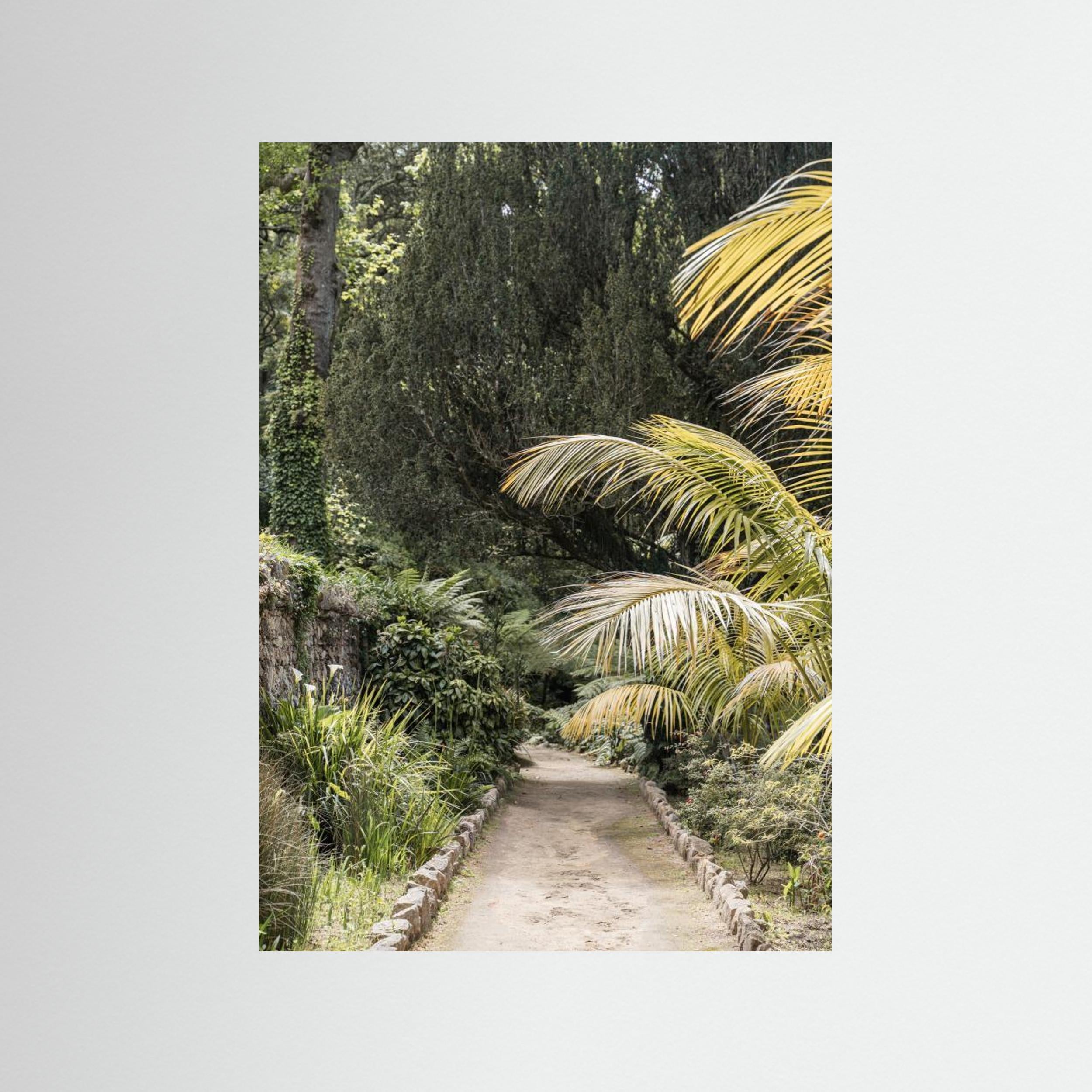Tropical Walk by Henrike Schenk