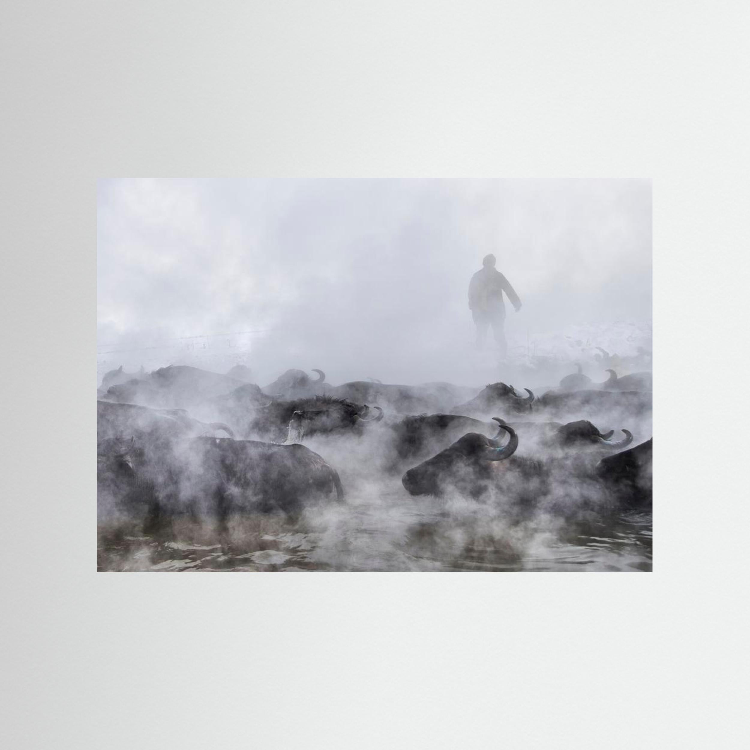 Wild Life by Ferhat Gursu