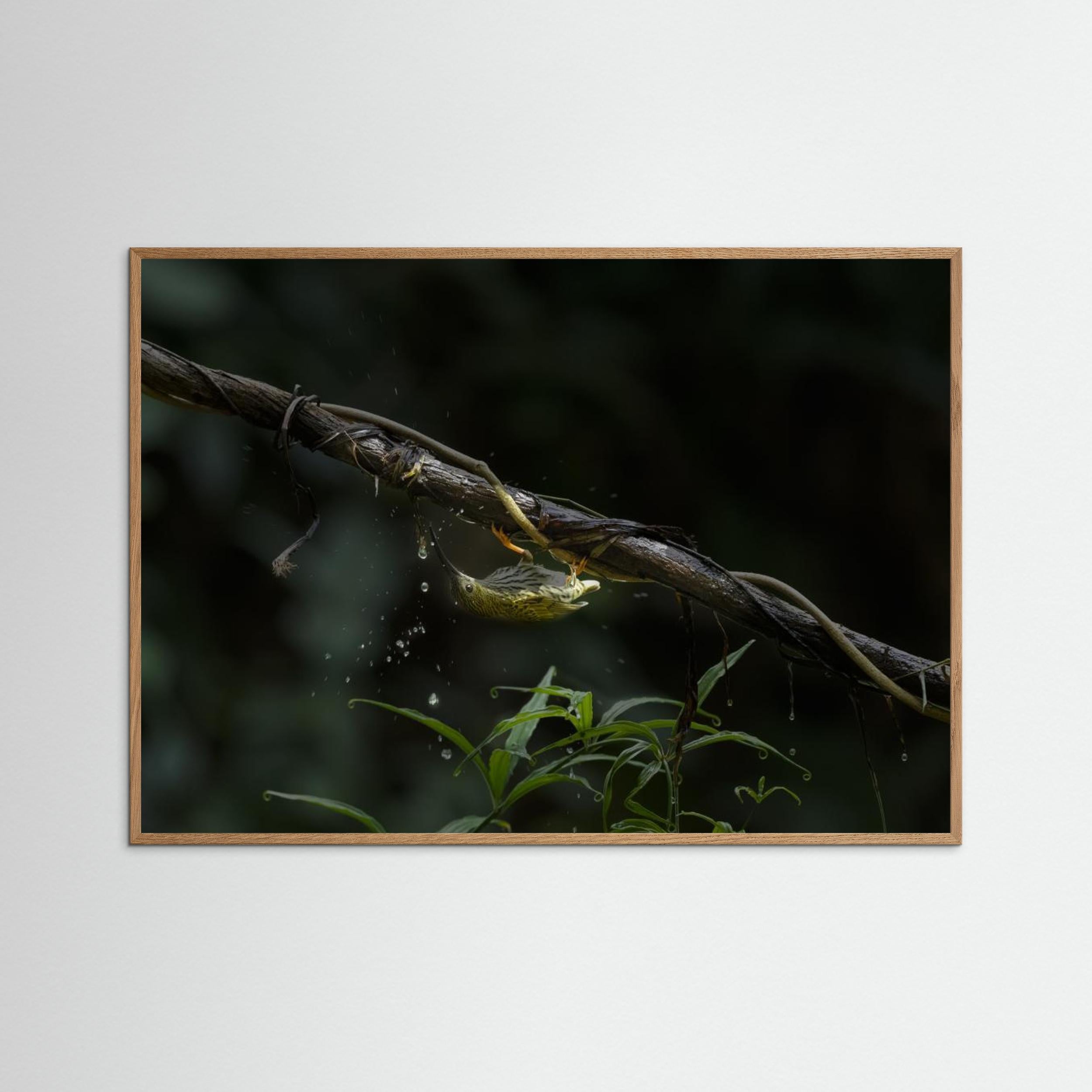 The Water Sipper by Chiranjib Chakraborty