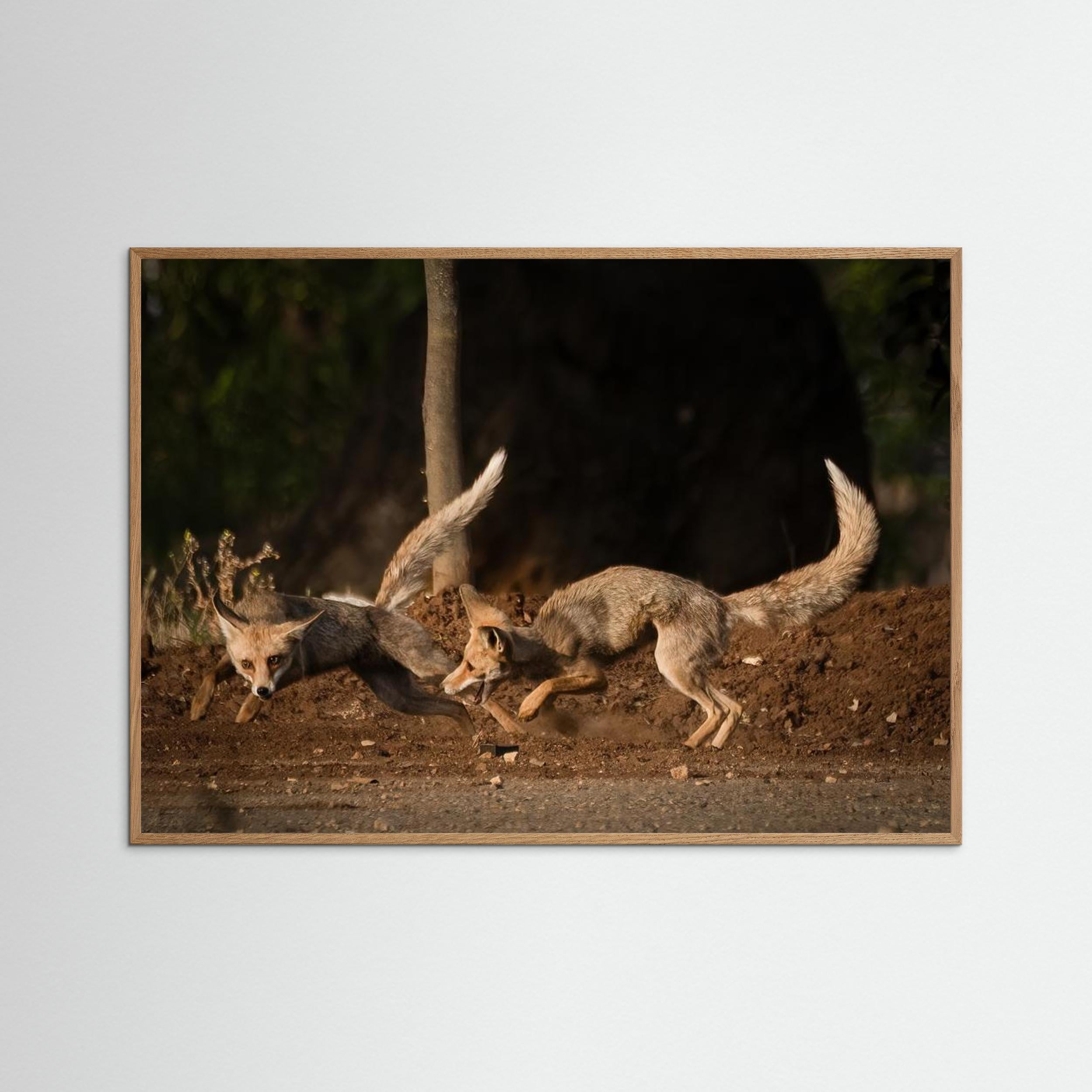 Morning games by Doron Margulies