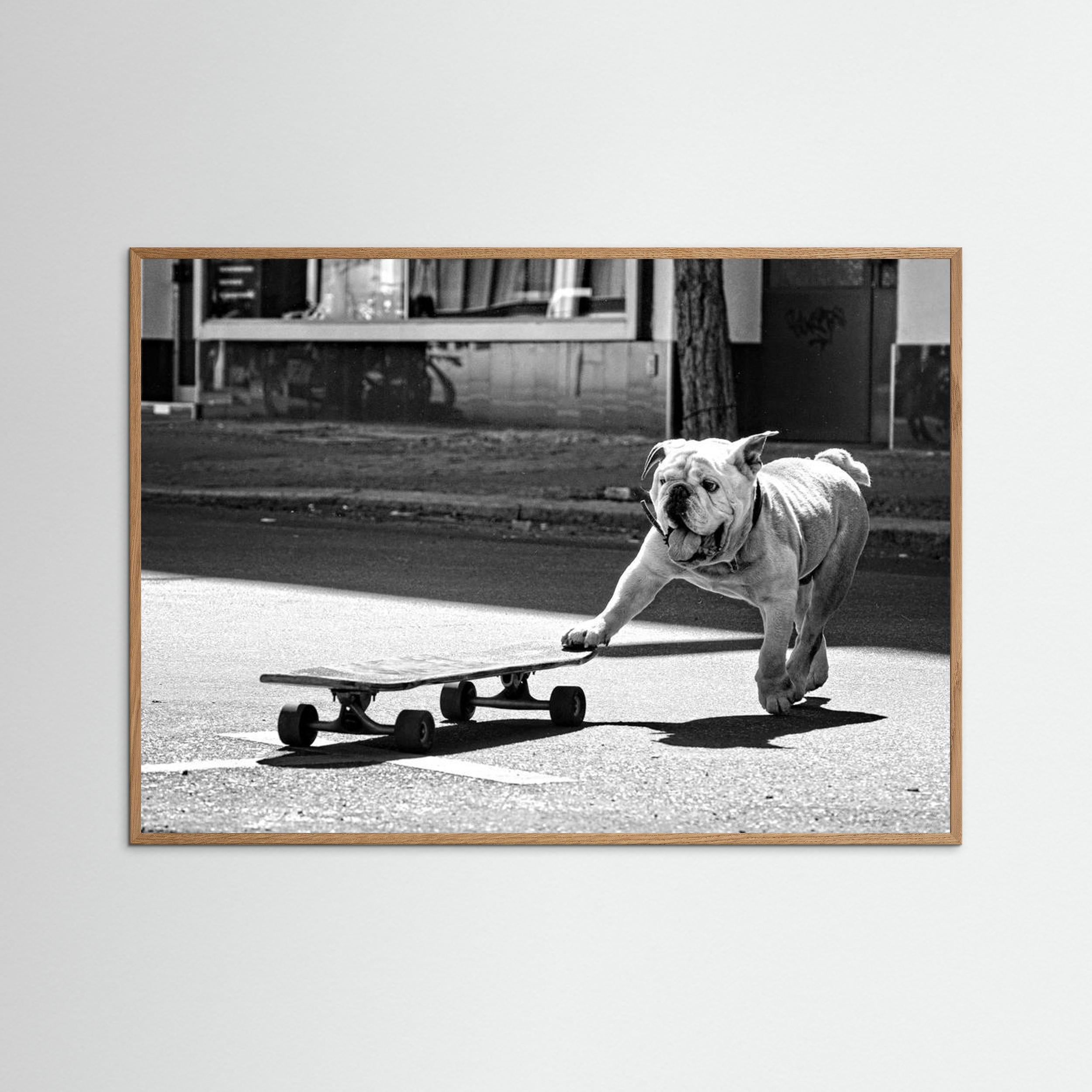 ... dogs just want to have fun ... by Claudia Leverentz