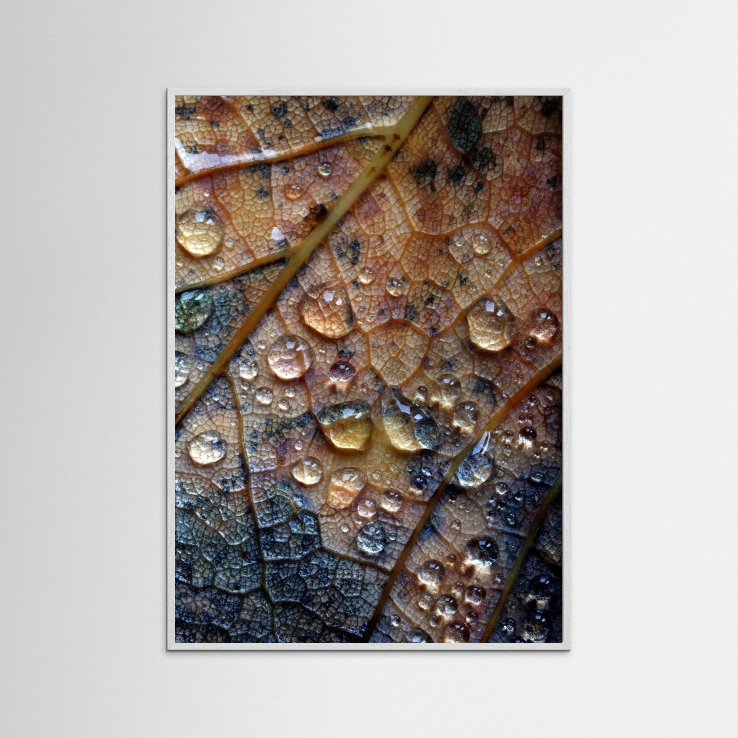 Nature's Tears by David Mc Cracken