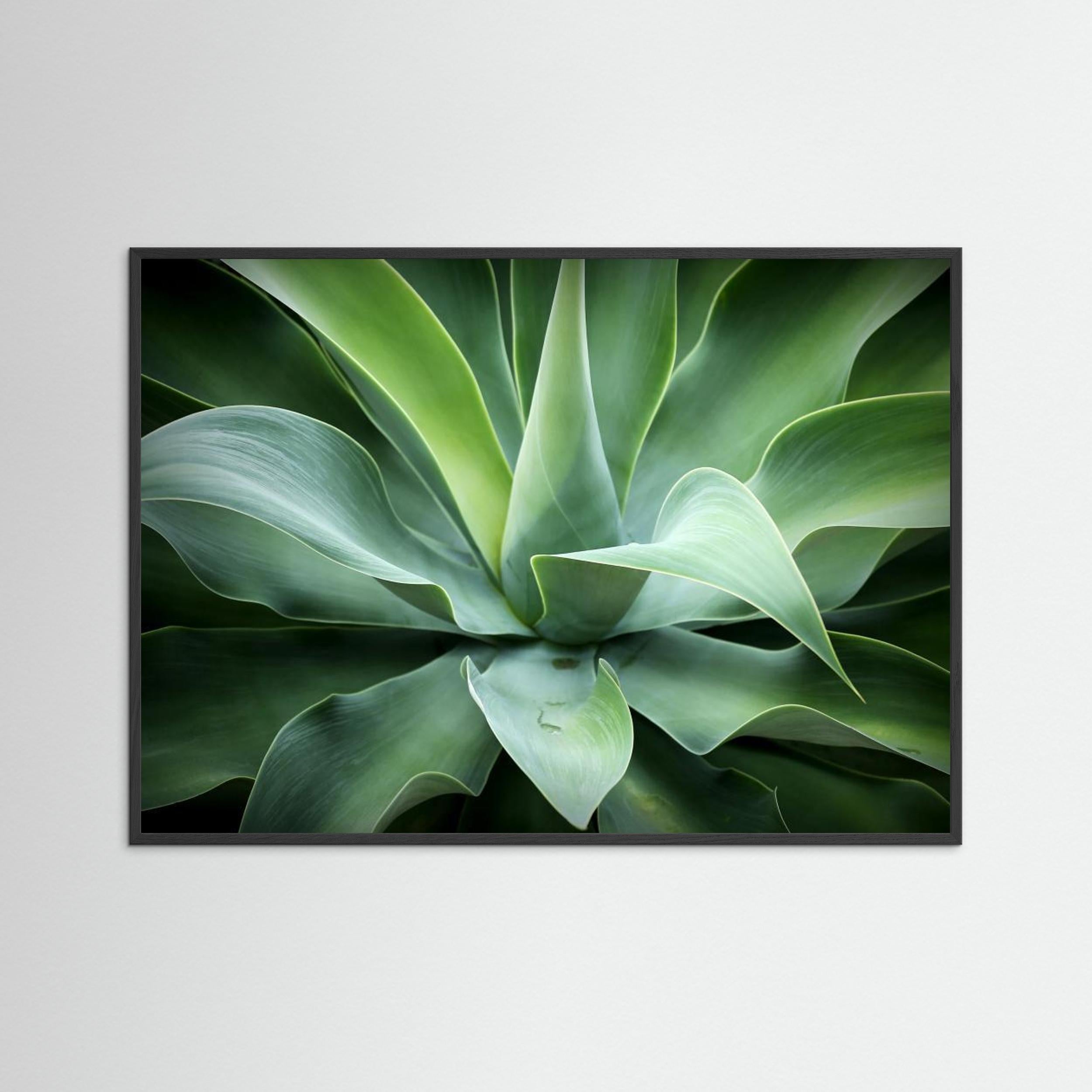 Natural by Isabel Daniel