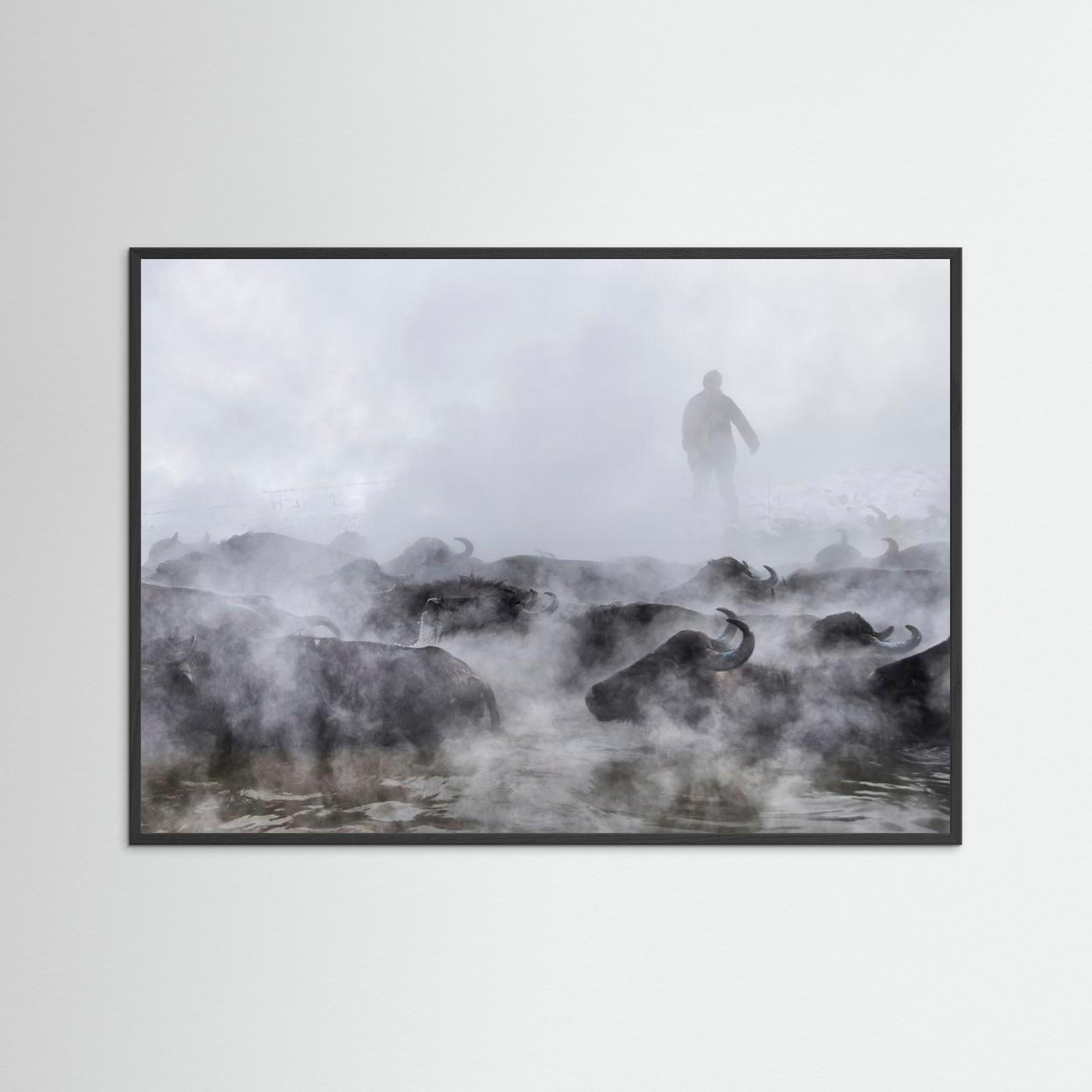 Wild Life by Ferhat Gursu