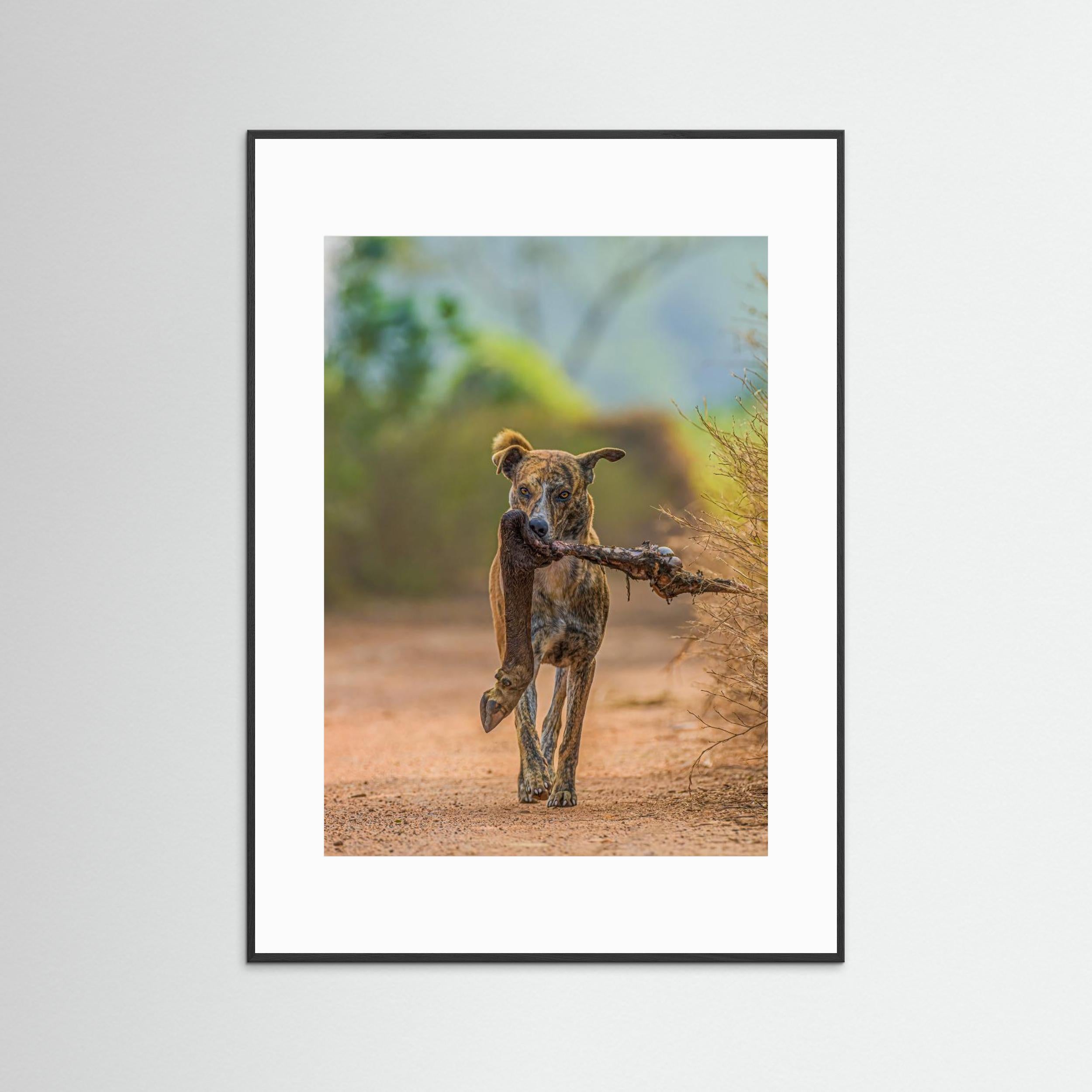 Party with leg piece by Susavan Aditya