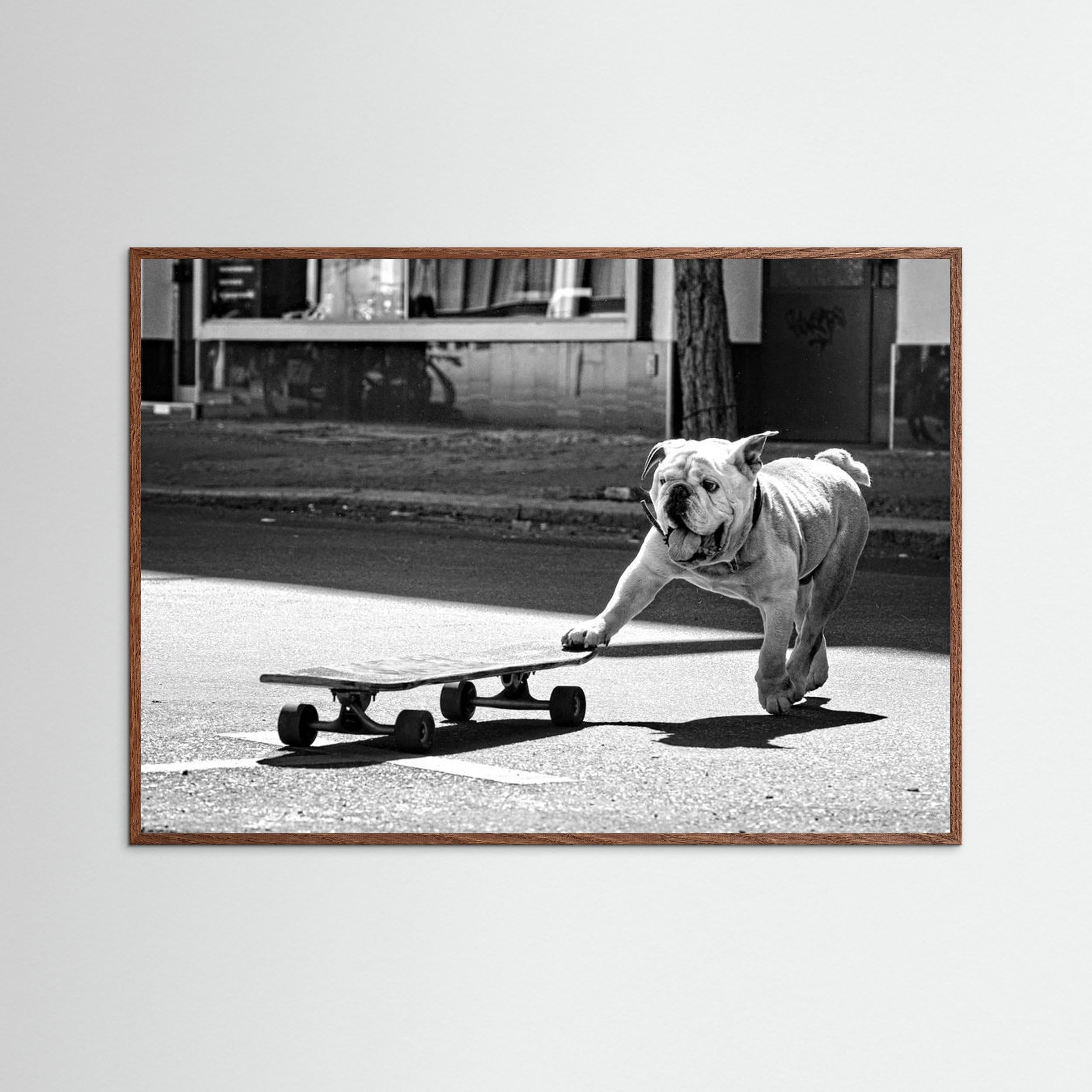 ... dogs just want to have fun ... by Claudia Leverentz