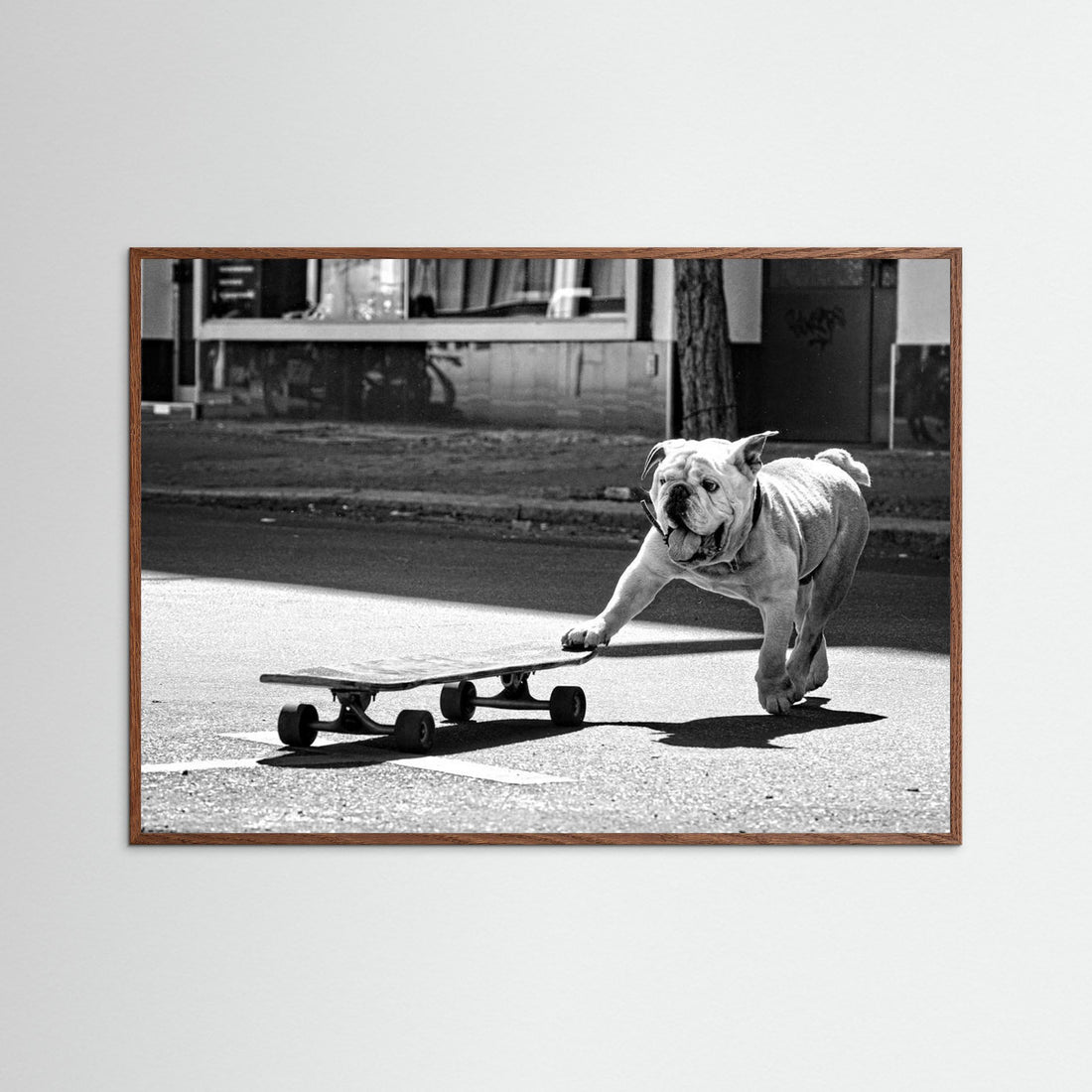 ... dogs just want to have fun ... by Claudia Leverentz