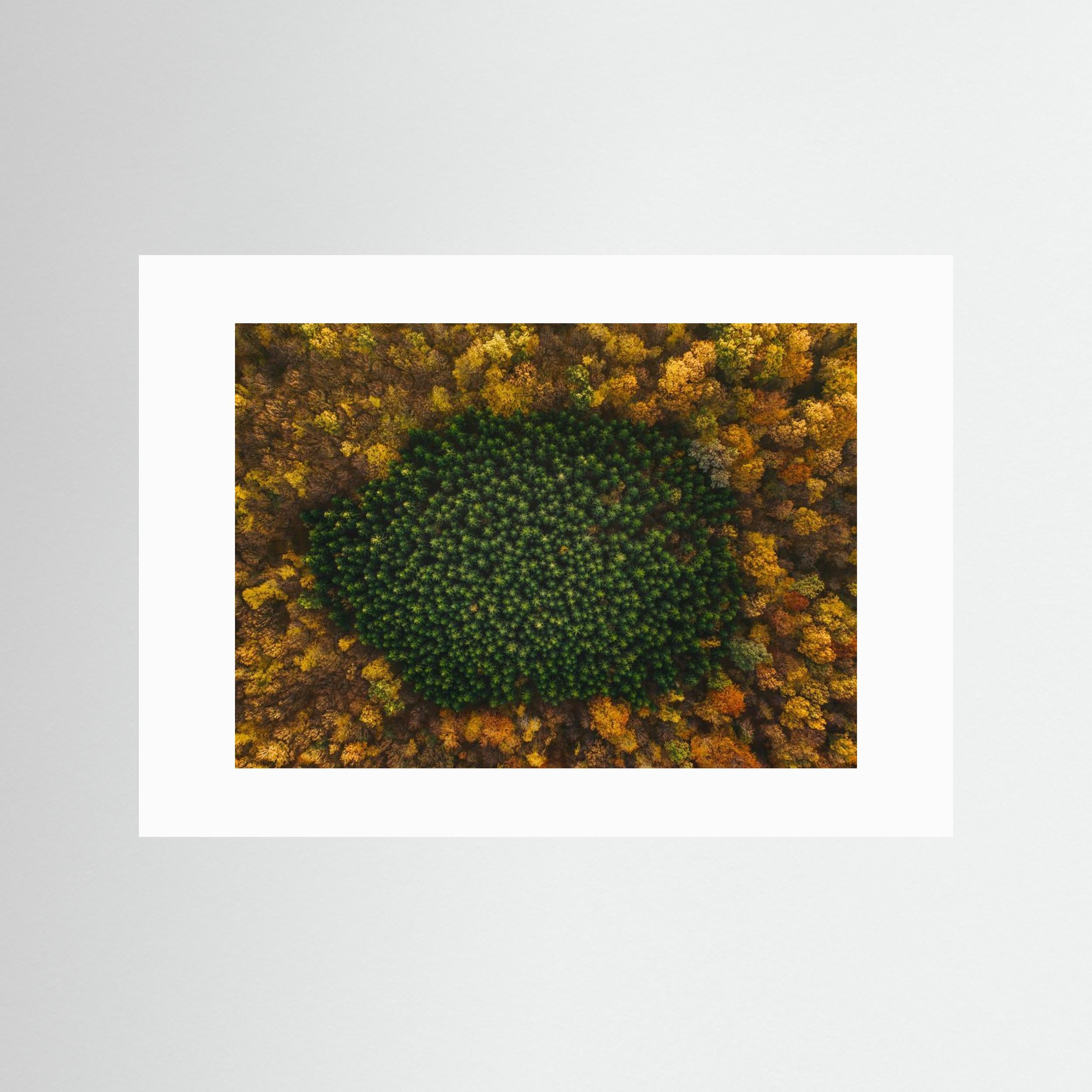 Nature by Angyalosi Beáta