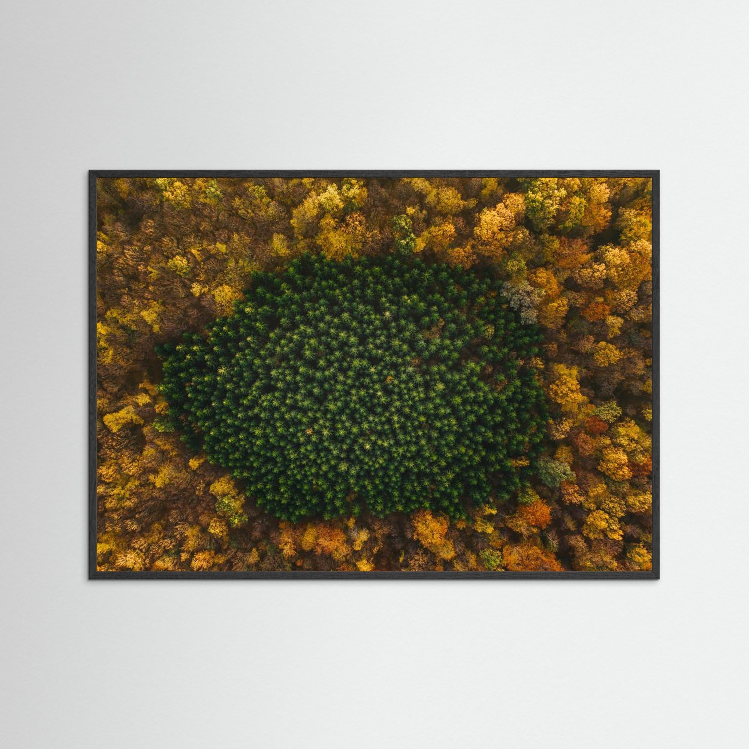 Nature by Angyalosi Beáta