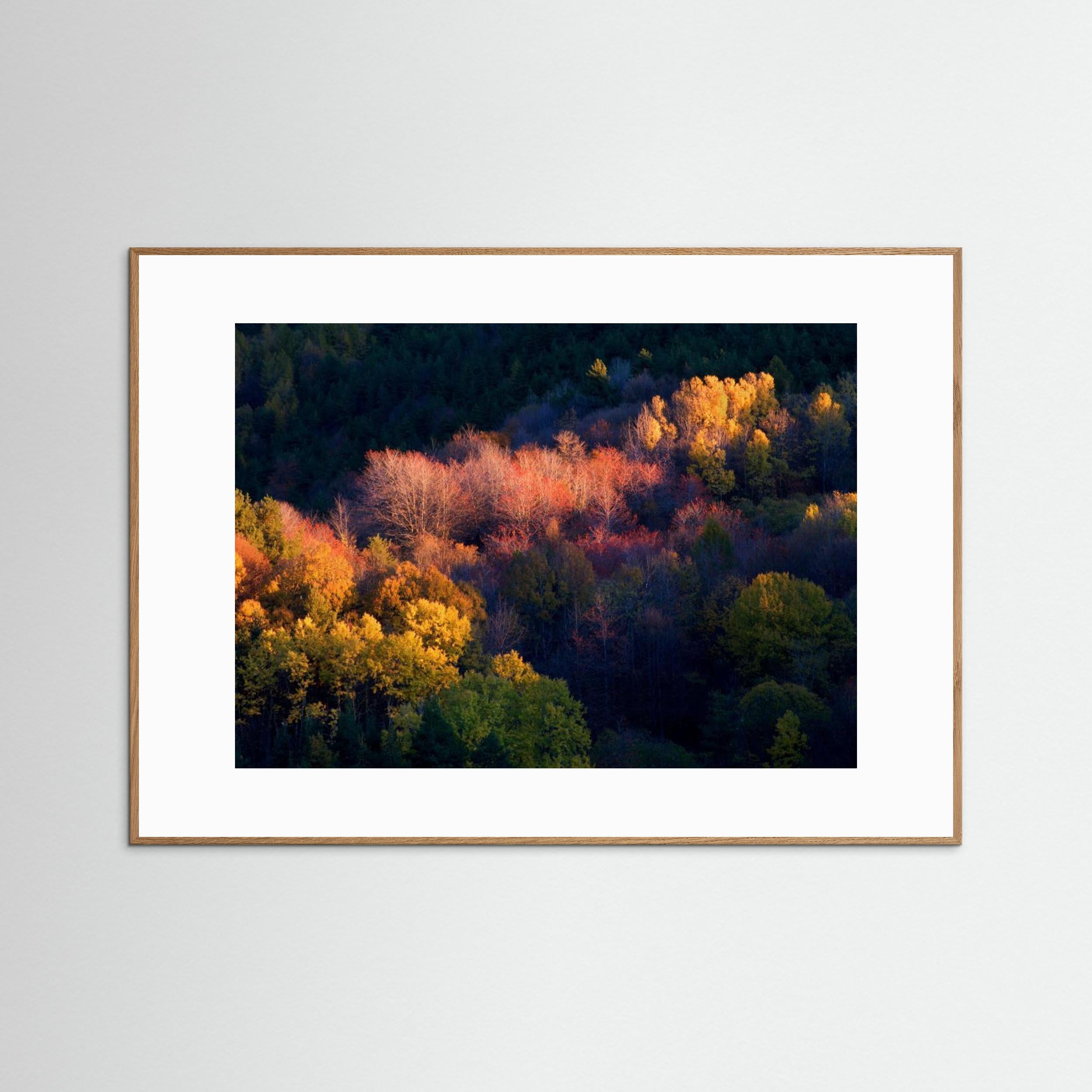 Colors by Paolo Bolla