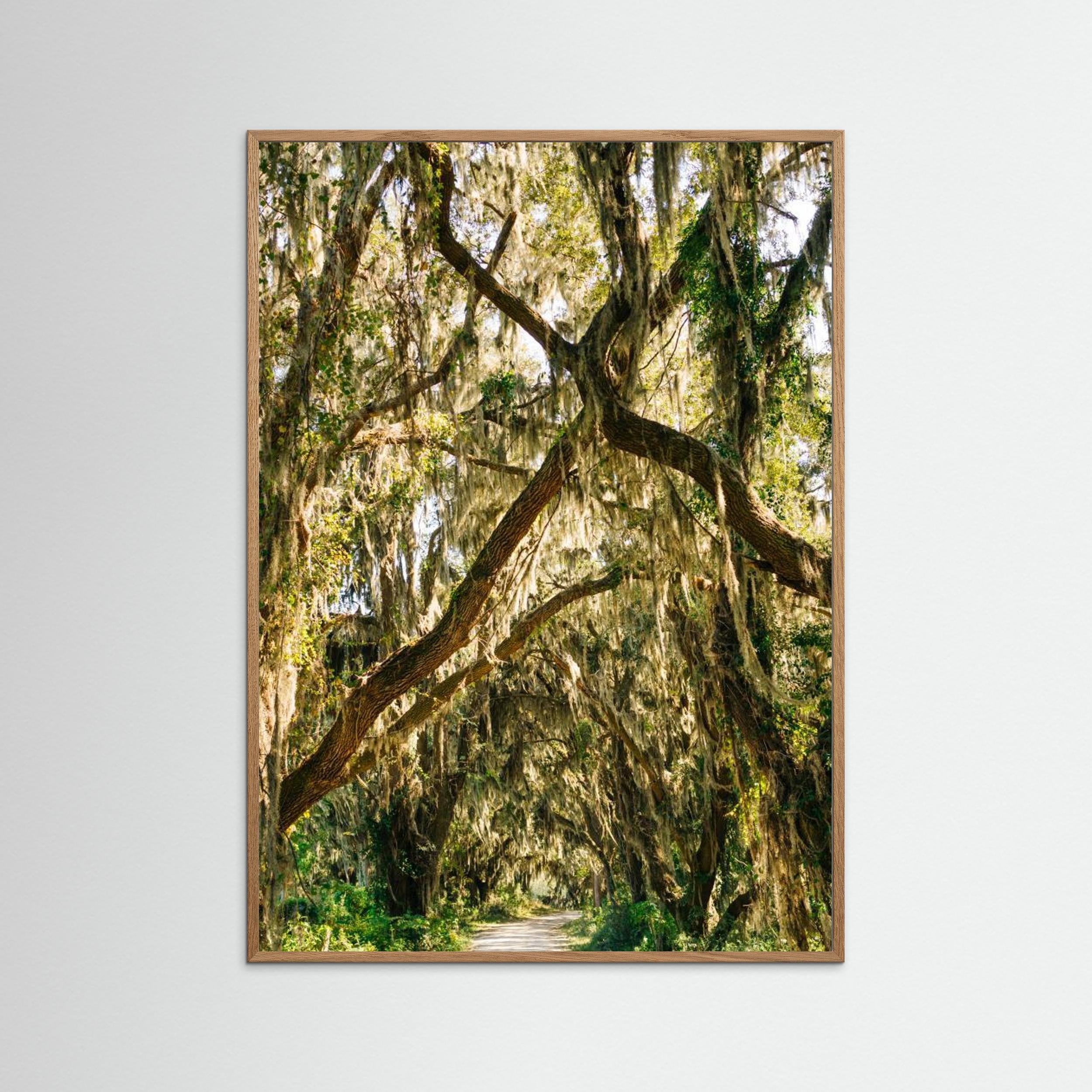 Savannah National Wildlife Refuge VII by Bethany Young