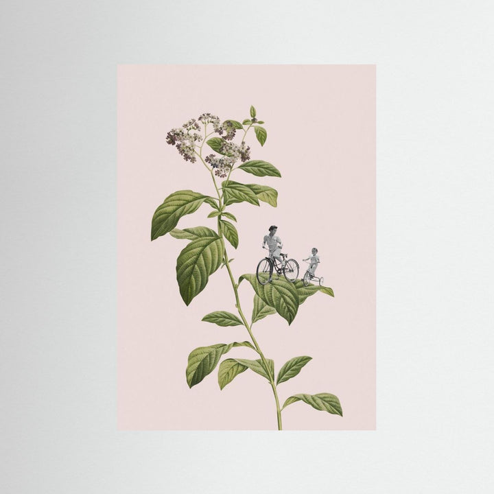 Botanical cycling by Frida Floral Studio