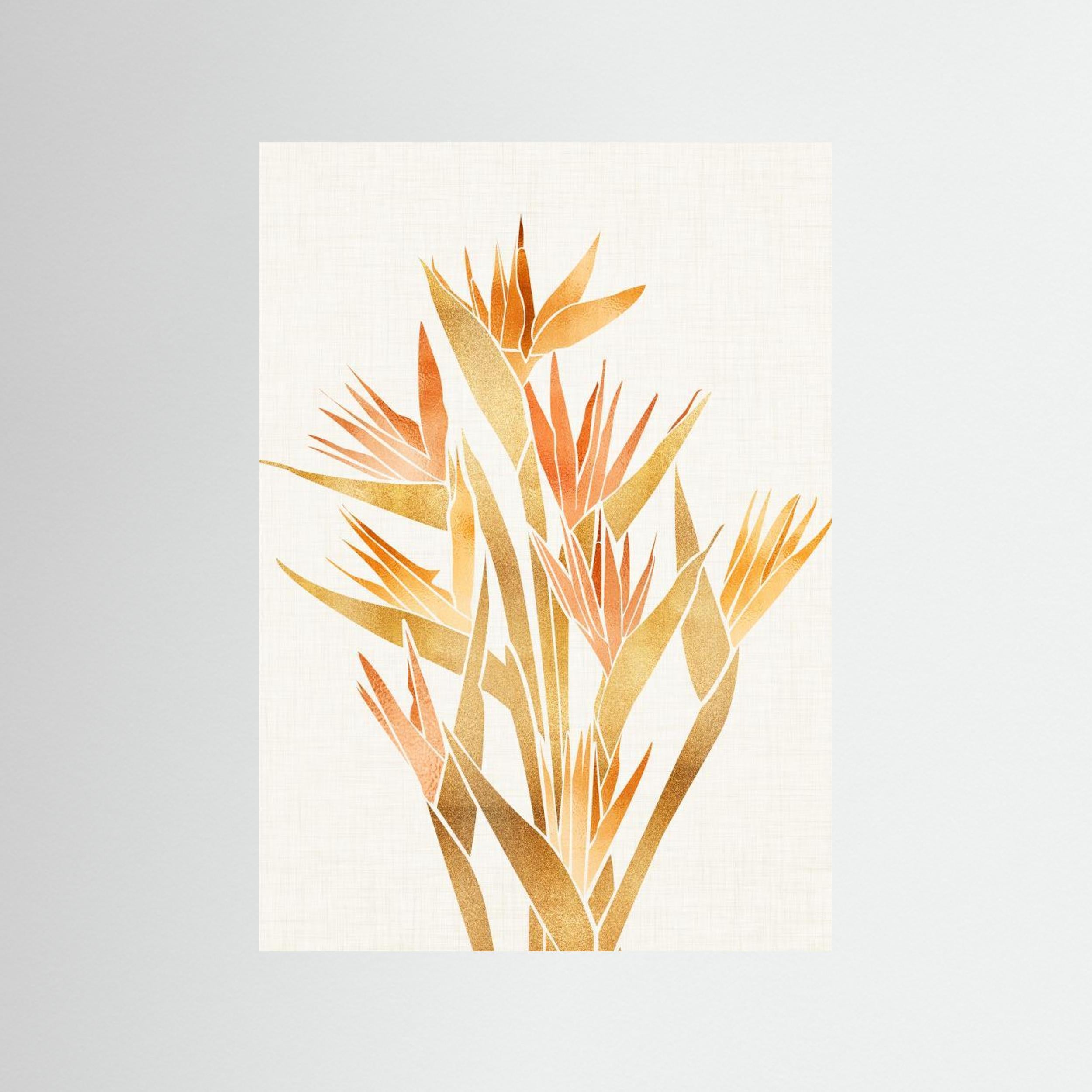 Bird of Paradise by Kristian Gallagher