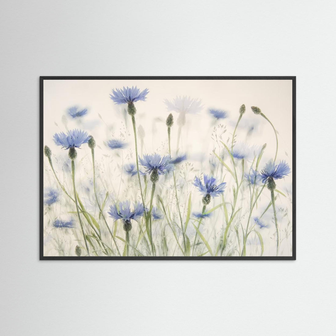Cornflowers by Nel Talen