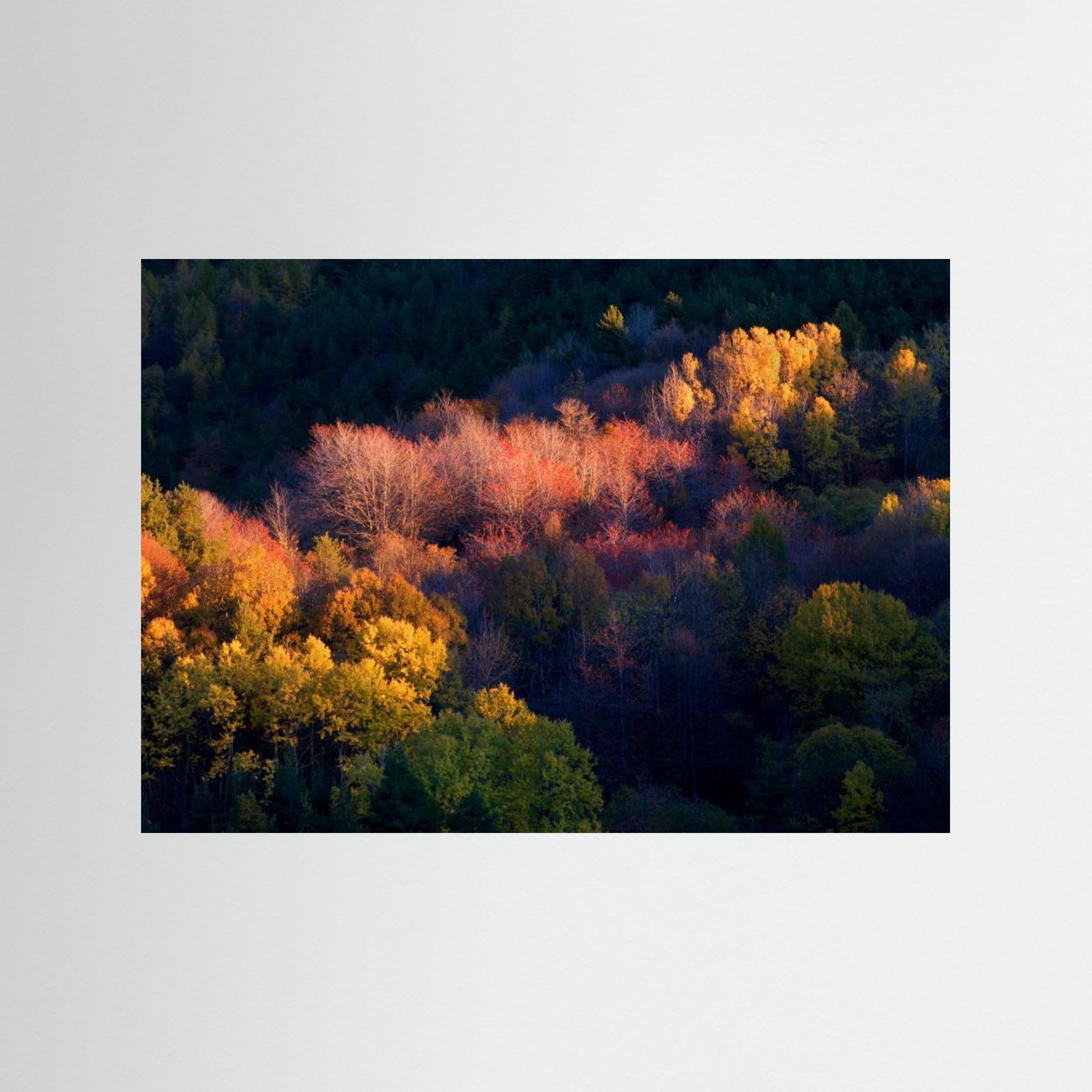 Colors by Paolo Bolla