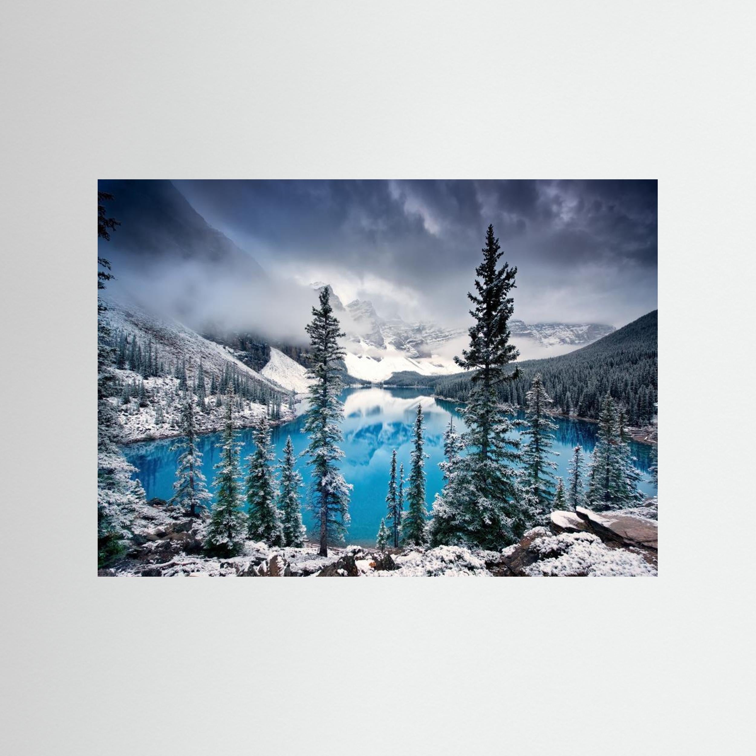 Morning blues by Trevor Cole