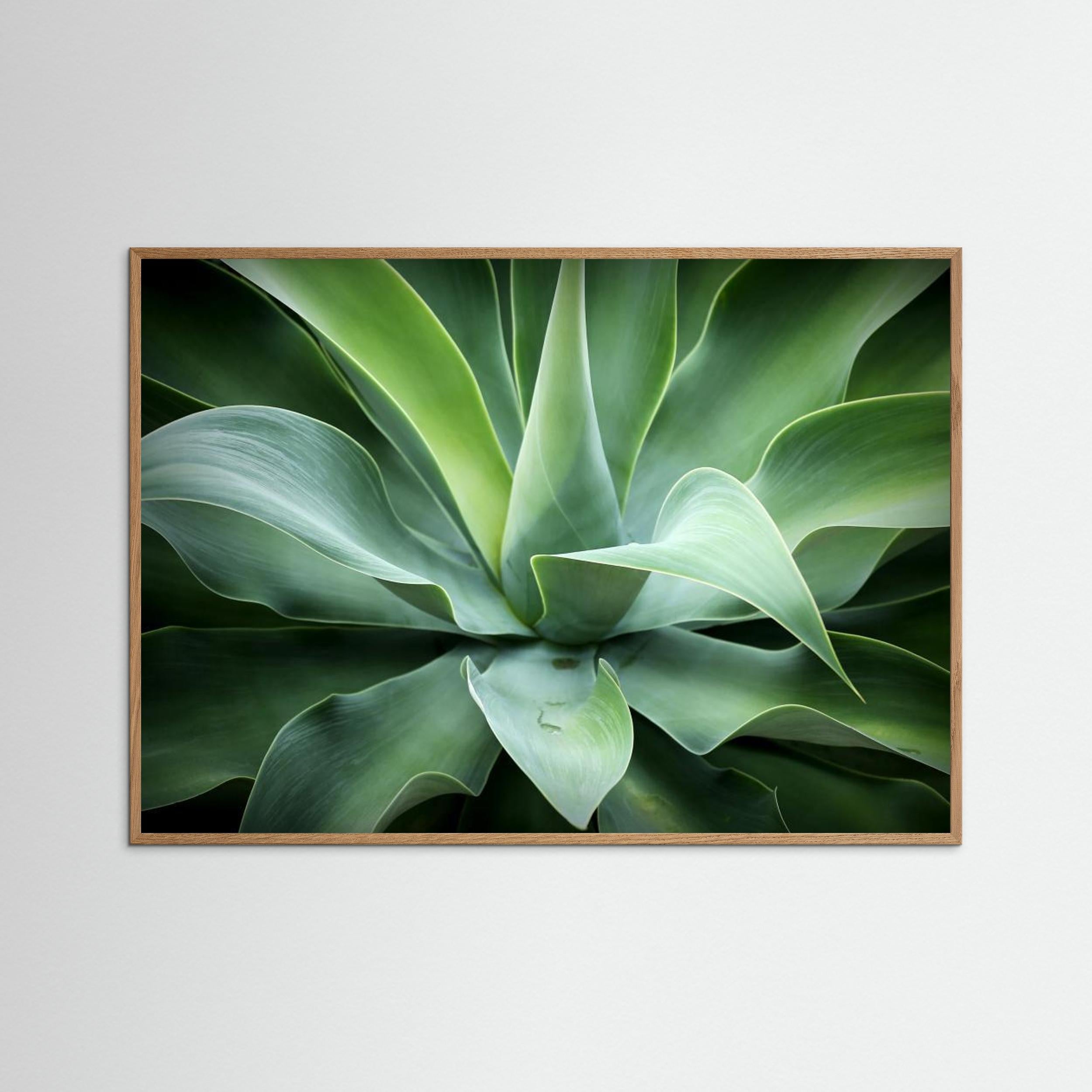 Natural by Isabel Daniel