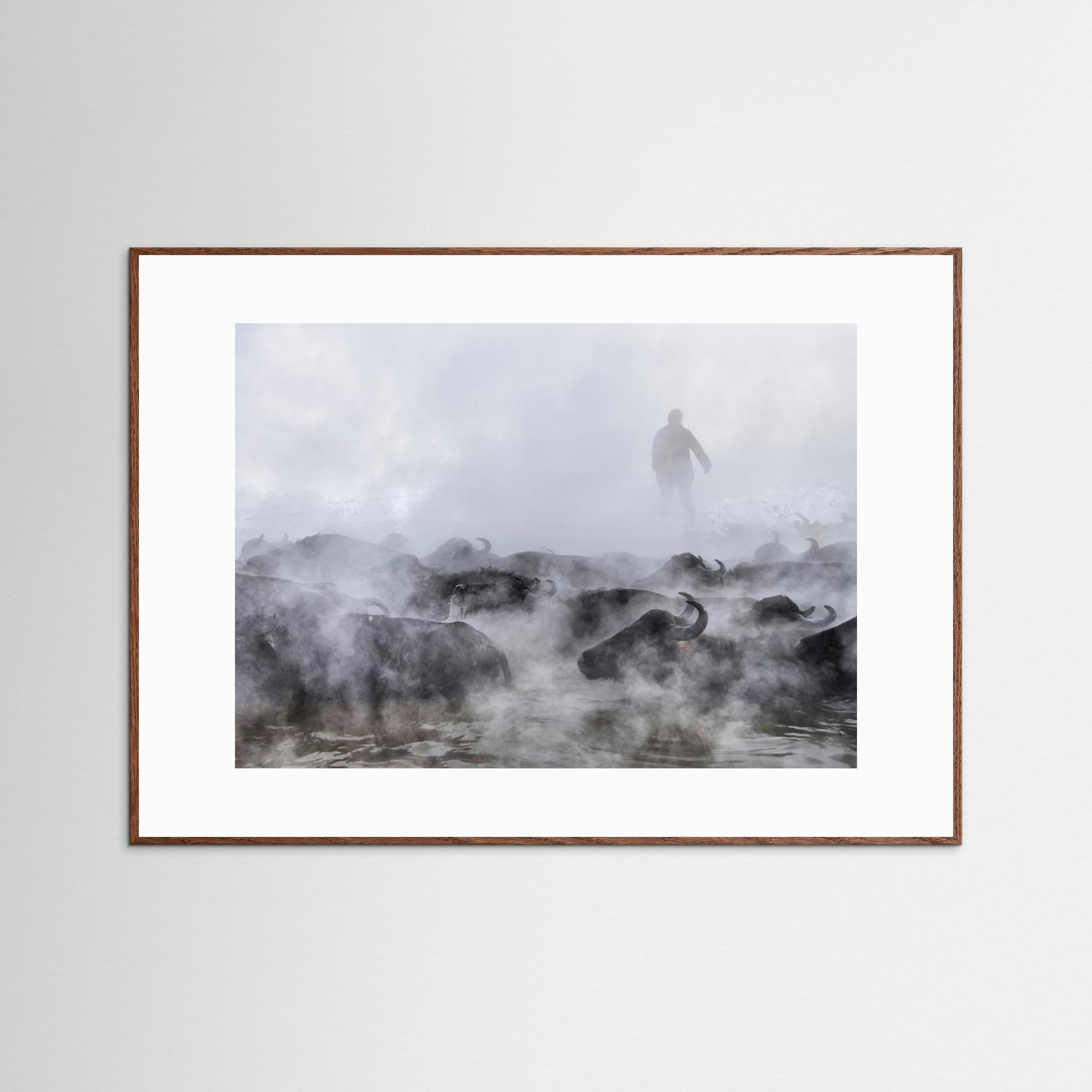 Wild Life by Ferhat Gursu